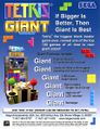 Tetris giant-3.jpg